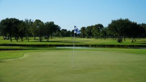 Parcours de golf bordé darbres au petit matin
